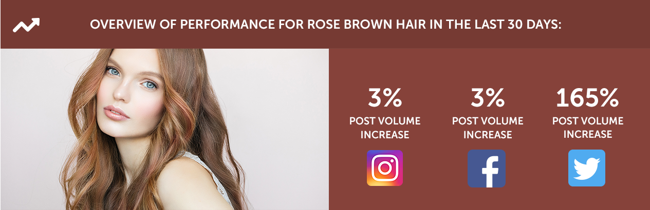Rose Brown Hair